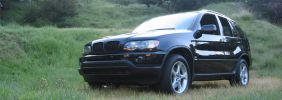 bmwx5sig.jpg